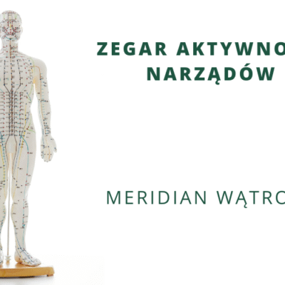 ZEGAR AKTYWNOŚCI NARZĄDÓW – Meridian wątroby