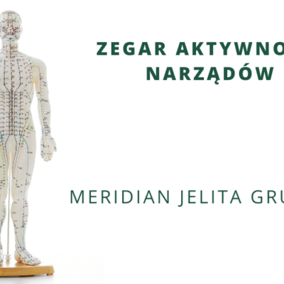 ZEGAR AKTYWNOŚCI NARZĄDÓW – Meridian jelita grubego