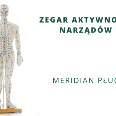 ZEGAR AKTYWNOŚCI NARZĄDÓW – Meridian płuc