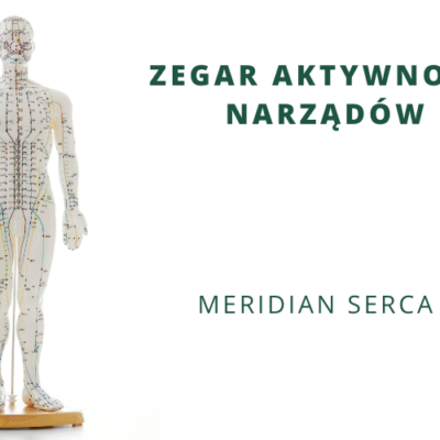 ZEGAR AKTYWNOŚCI NARZĄDÓW – meridian serca